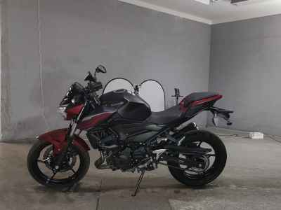 Kawasaki Z250 2019