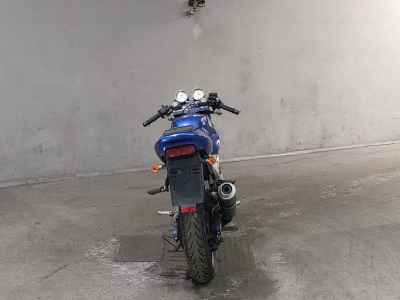 Suzuki Goose 350 1992