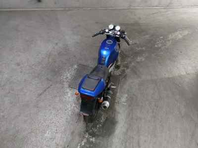 Suzuki Goose 350 1992