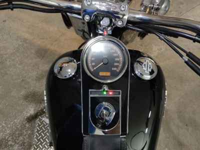 Harley-Davidson FLSTN1580 2006