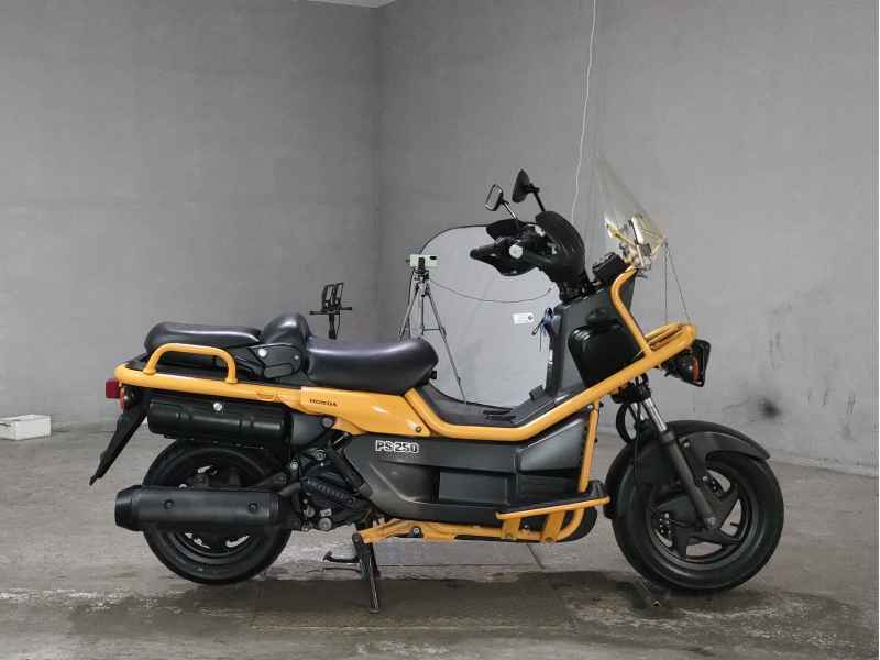 Honda PS250 Big Ruckus 2004