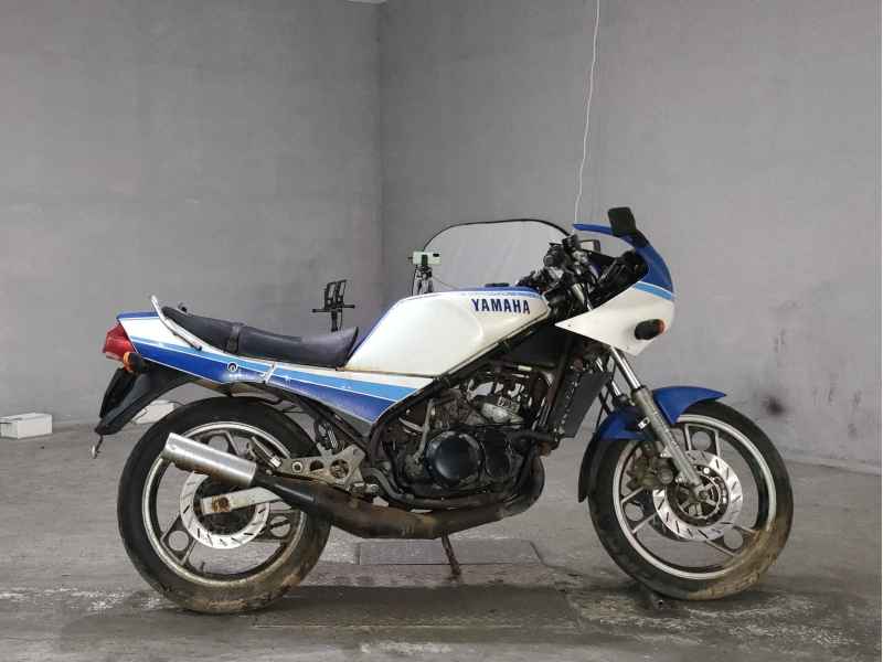 Yamaha RZ250RR 1984