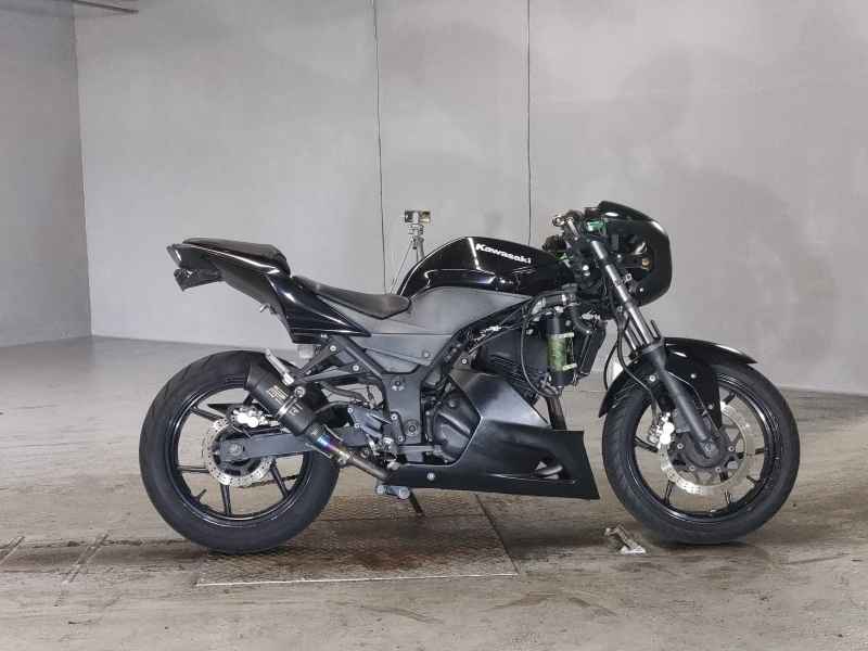 Kawasaki Ninja 250R 2010
