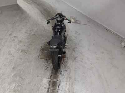 Kawasaki Ninja 250R 2010