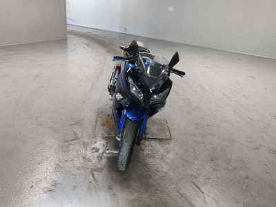 Kawasaki Ninja 250 2015