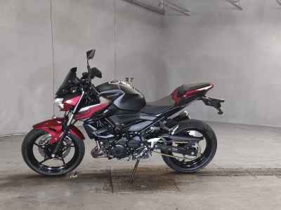 Kawasaki Z250 2019