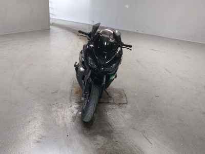 Kawasaki Ninja 1000 2017
