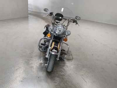 Harley-Davidson FLSTC103 2017