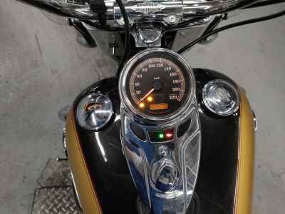 Harley-Davidson FLSTC103 2017