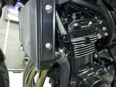 Kawasaki Z900RS Cafe 2021