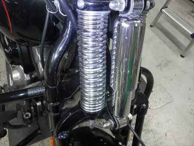 Harley-Davidson CROSS BONES FLSTSB1580 2009