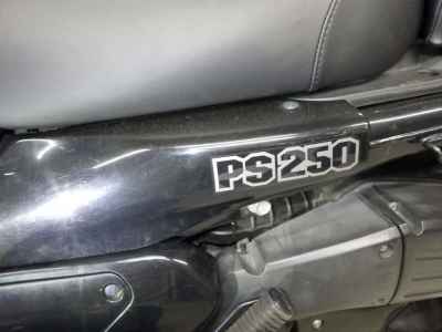 Honda PS250 Big Ruckus 2006