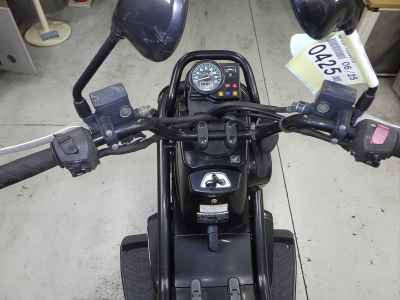 Honda PS250 Big Ruckus 2006