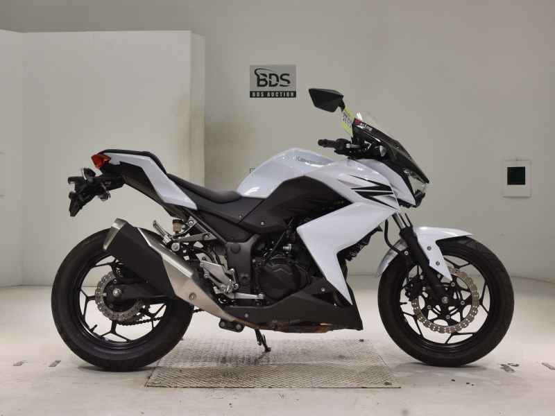 Kawasaki Z250 2013