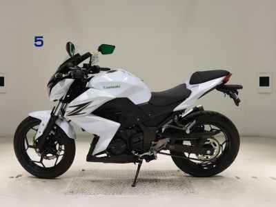 Kawasaki Z250 2013