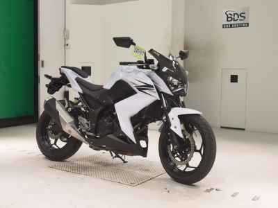 Kawasaki Z250 2013