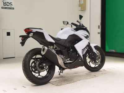 Kawasaki Z250 2013