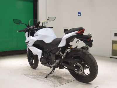 Kawasaki Z250 2013