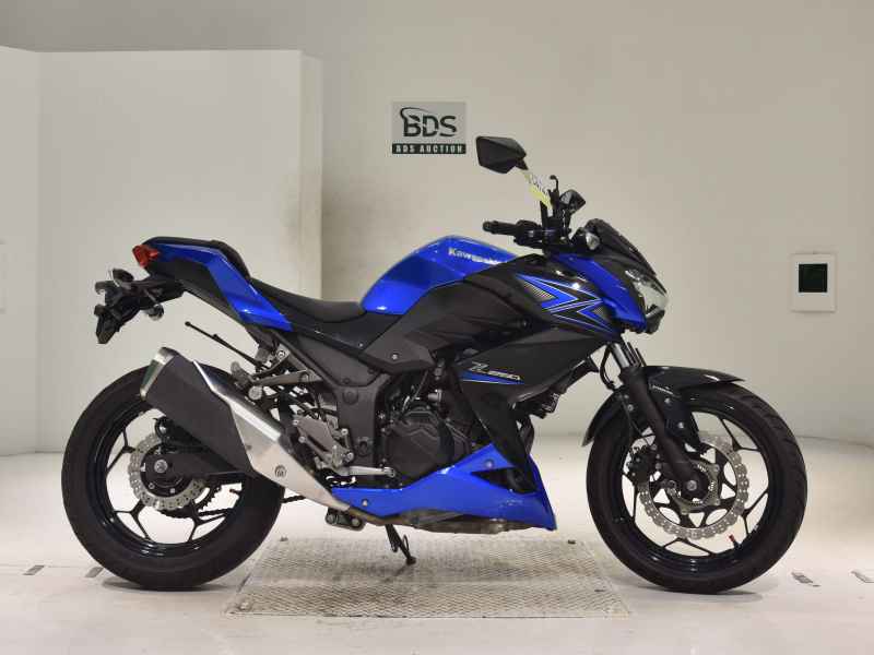Kawasaki Z250 2015