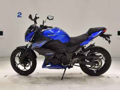 Kawasaki Z250 2015