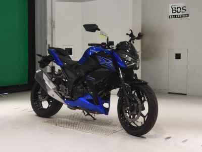 Kawasaki Z250 2015