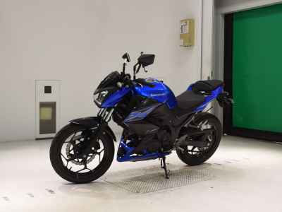 Kawasaki Z250 2015