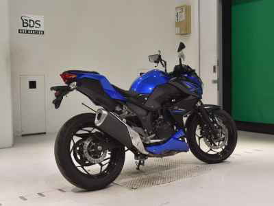 Kawasaki Z250 2015