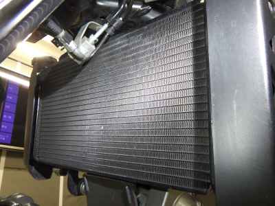 Suzuki SV650X 2023