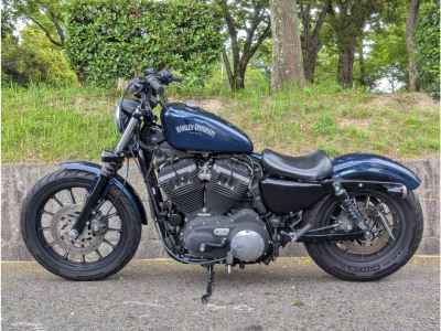 Harley-Davidson XL883N 2013