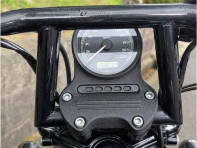 Harley-Davidson XL883N 2013