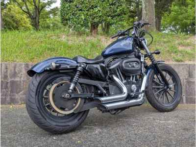 Harley-Davidson XL883N 2013