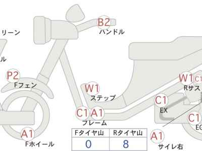 Kawasaki W800 Cafe 2020
