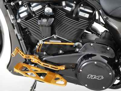 Harley-Davidson FLTRXS 2021