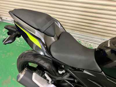 Kawasaki Z250 2022