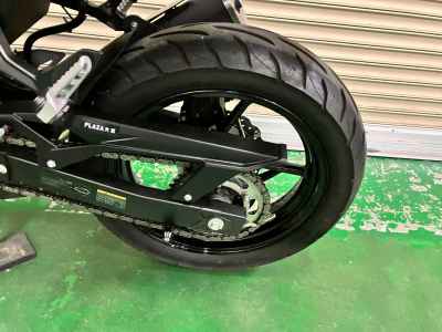 Kawasaki Z250 2022