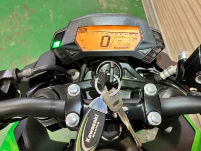 Kawasaki Z250SL 2016