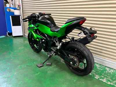 Kawasaki Z250SL 2016