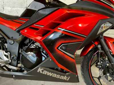 Kawasaki Ninja 250 2014