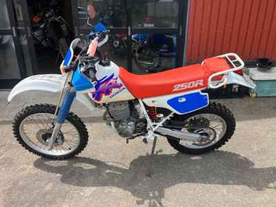 Honda XR250 1992