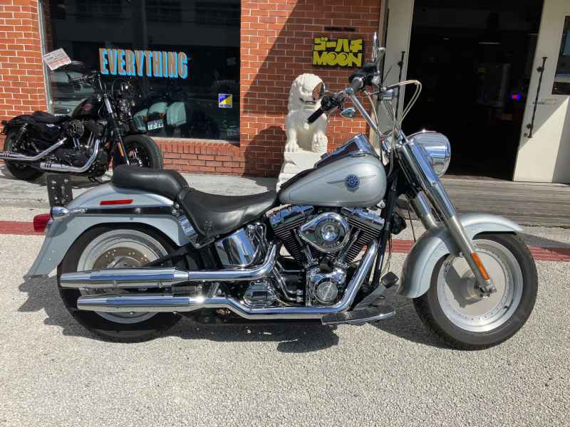 Harley-Davidson FLSTF 2004