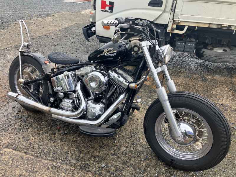 Harley-Davidson FLSTF 2001