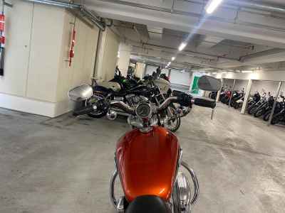 Harley-Davidson XL1200C 2012