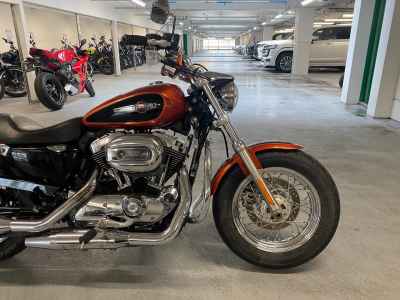 Harley-Davidson XL1200C 2012