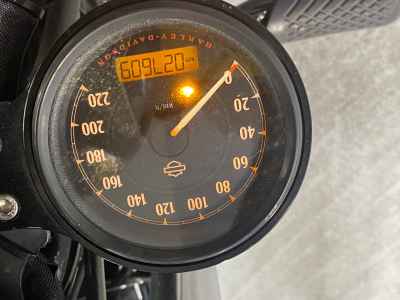 Harley-Davidson XL1200X 2017