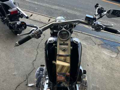 Harley-Davidson FLSTF 1994