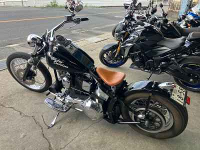 Harley-Davidson FLSTF 1994