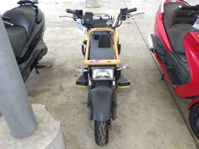 Honda PS250 Big Ruckus 2005