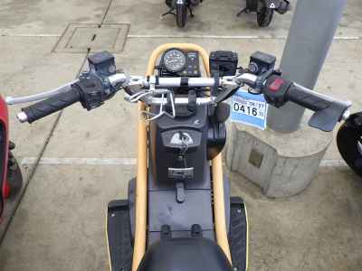 Honda PS250 Big Ruckus 2005