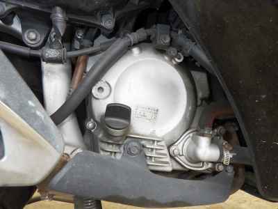 Honda Forza Z 2009