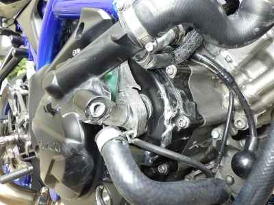 Suzuki SV650 2019